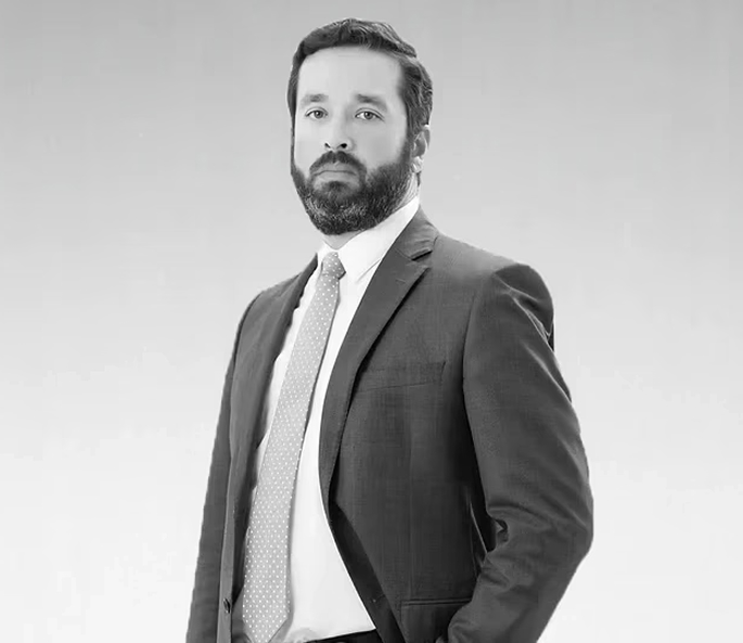 Fernando P. Henríquez - Partner